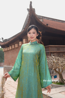 Loosing Green modern ao dai with botton collar