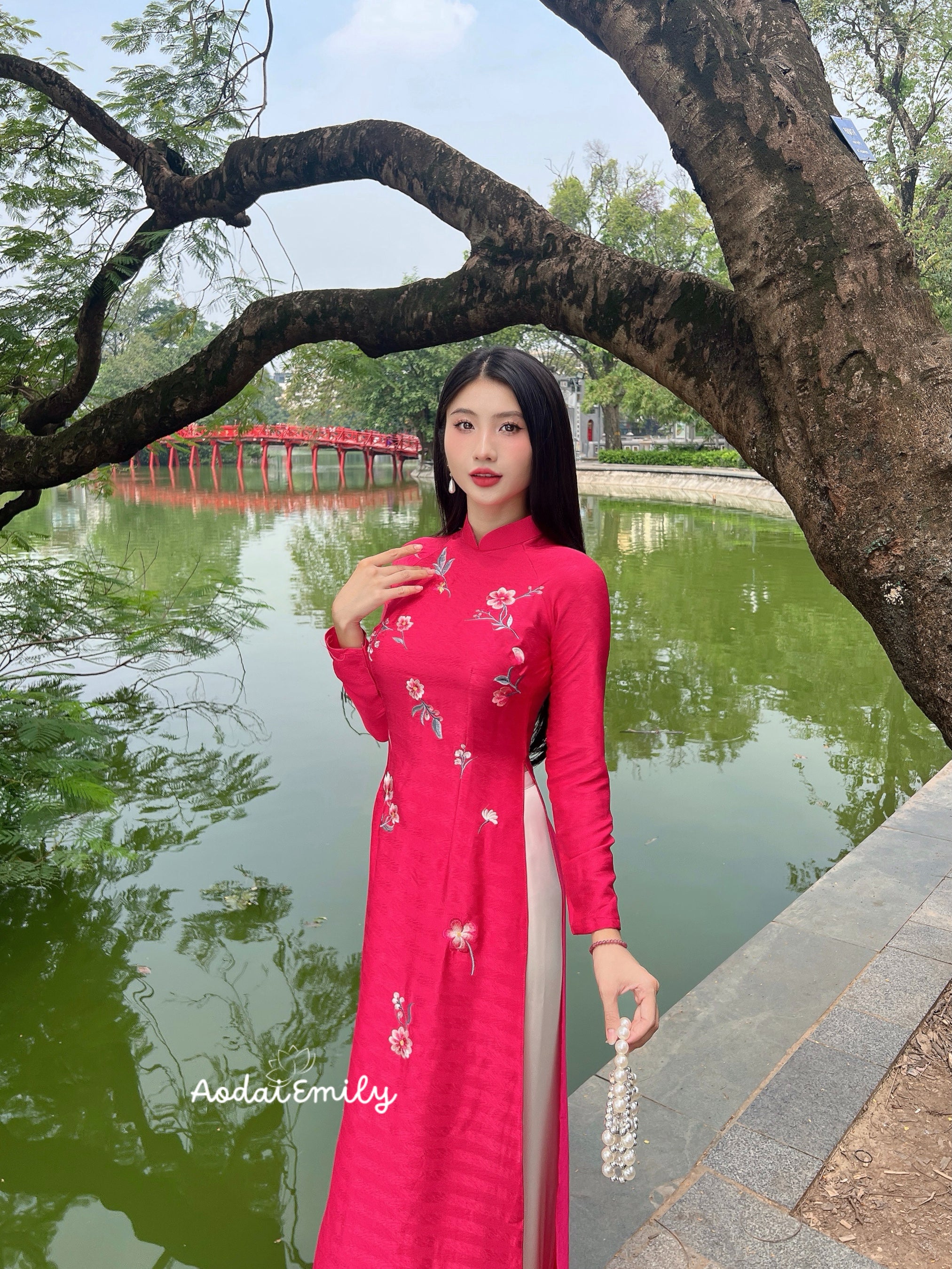 Ao dai with embroidery Flowers